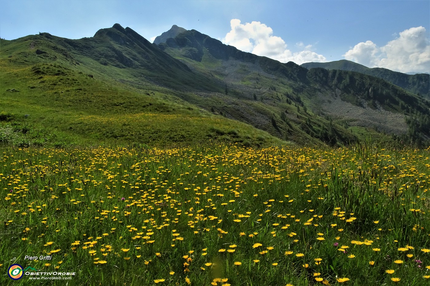 26 Pascoli fioriti con vista sul Monte Valegino (2415 m).JPG